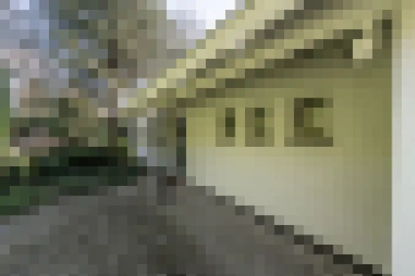 Molenweg 3 Mijnsheerenland thumbnail 60
