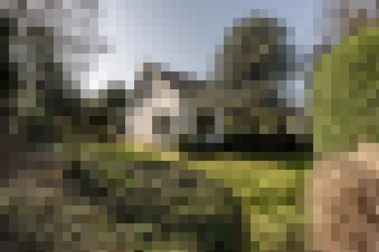 Molenweg 3 Mijnsheerenland thumbnail 61