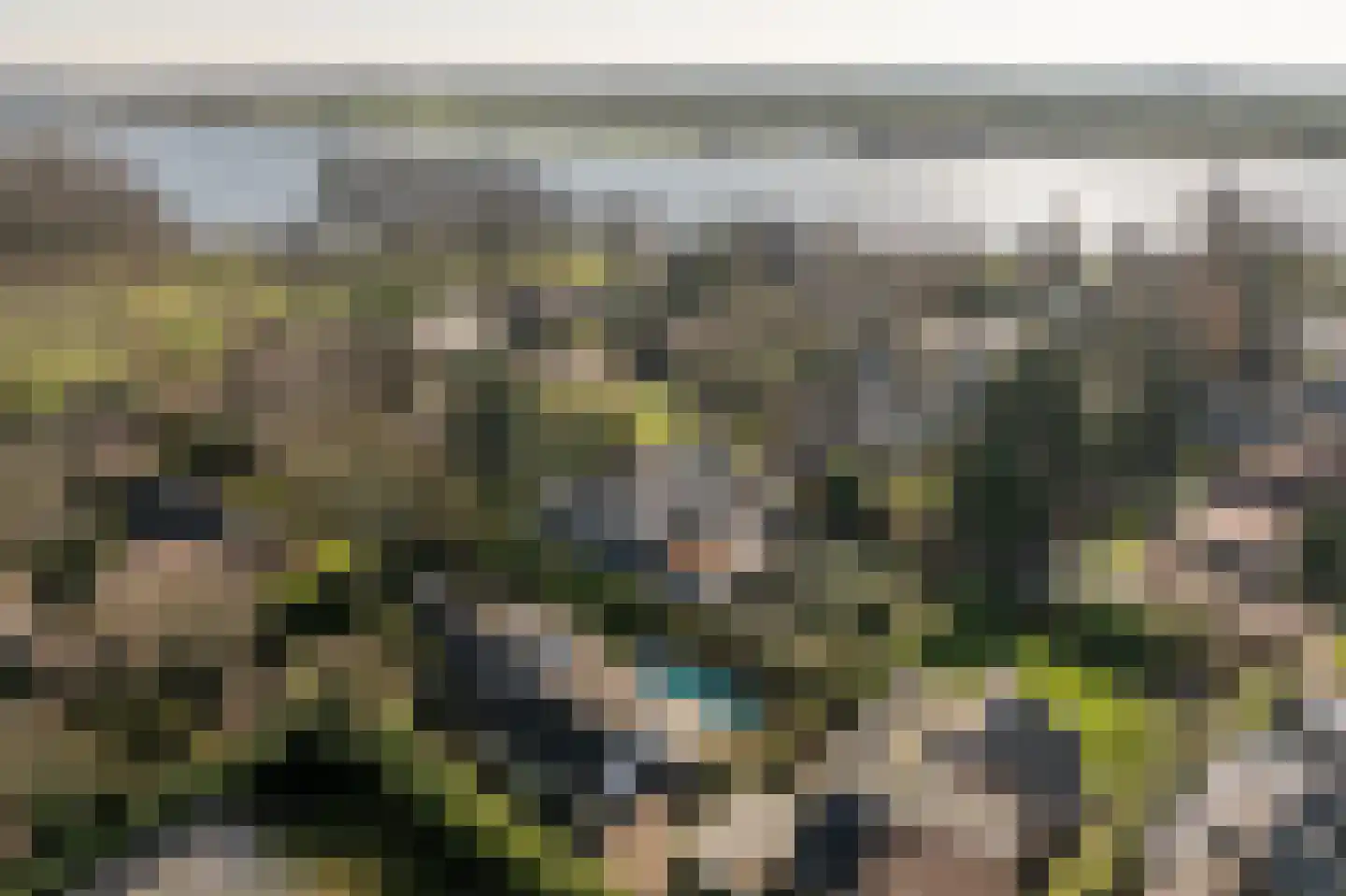 Molenweg 3 Mijnsheerenland thumbnail 62