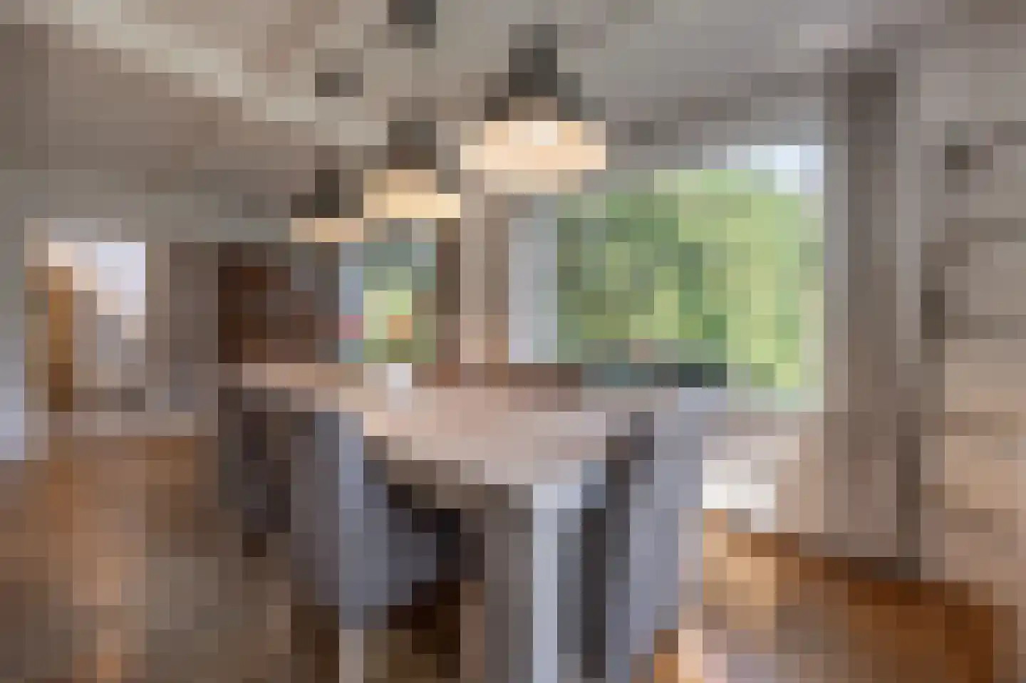 Molenweg 3 Mijnsheerenland thumbnail 9