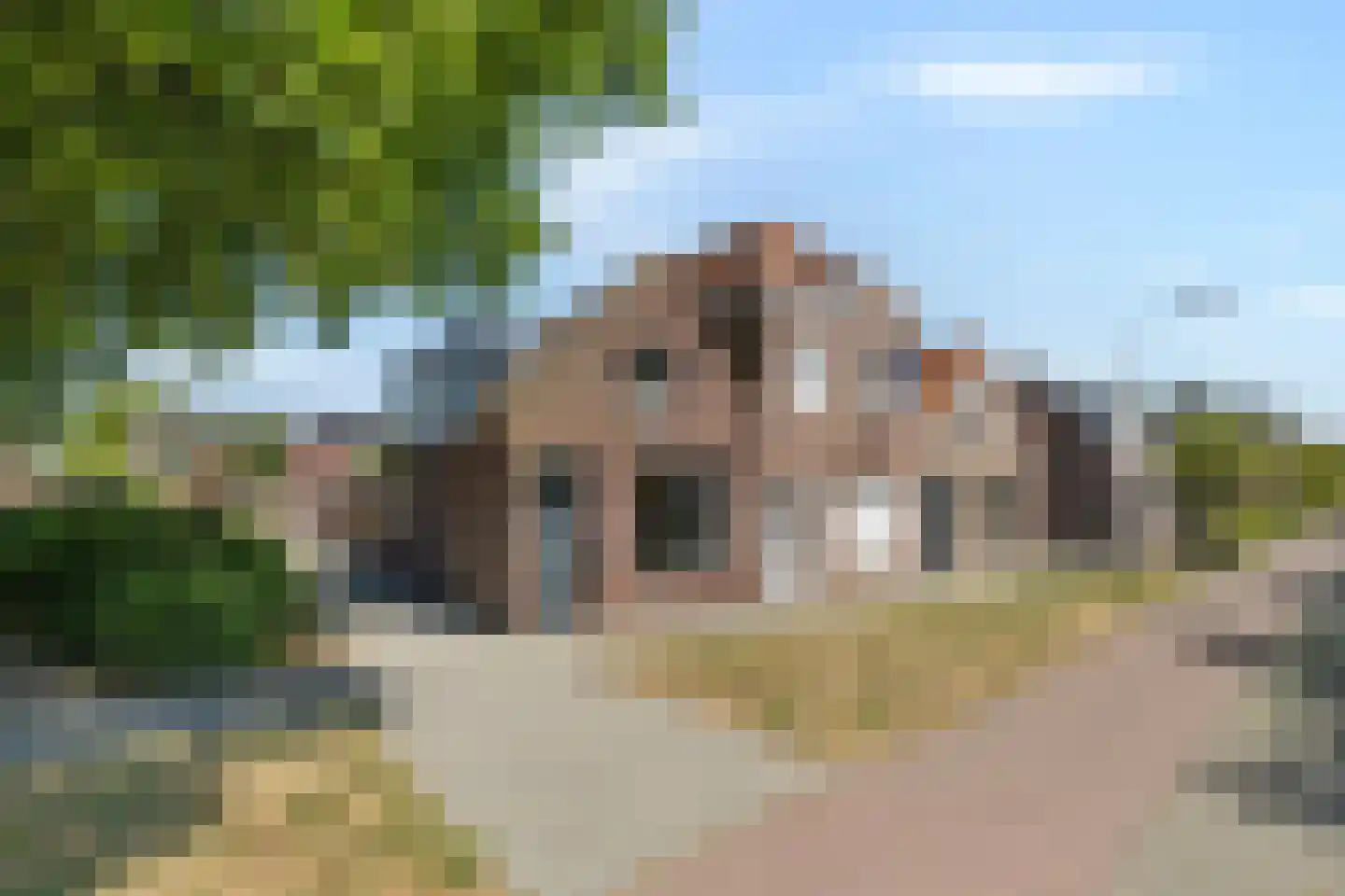 Molenweg 3 Steenbergen