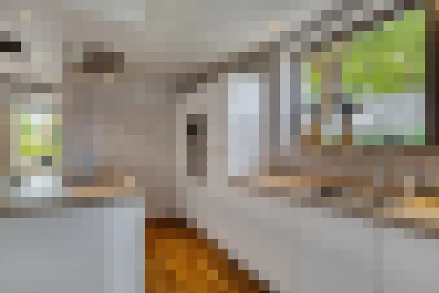 Molenweg 3 Steenbergen thumbnail 15