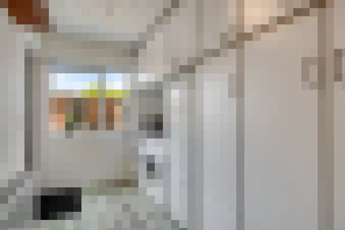 Molenweg 3 Steenbergen thumbnail 16