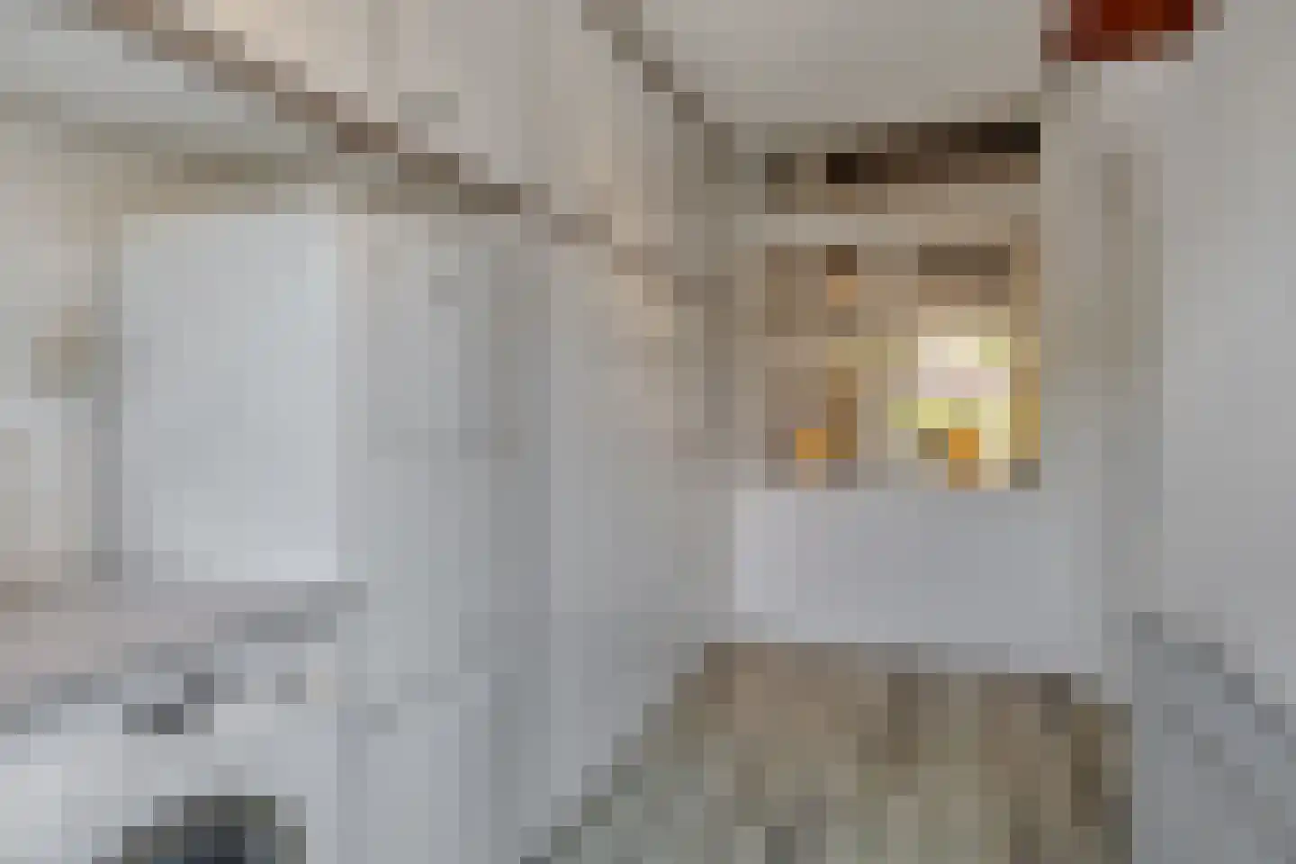 Molenweg 3 Steenbergen thumbnail 18