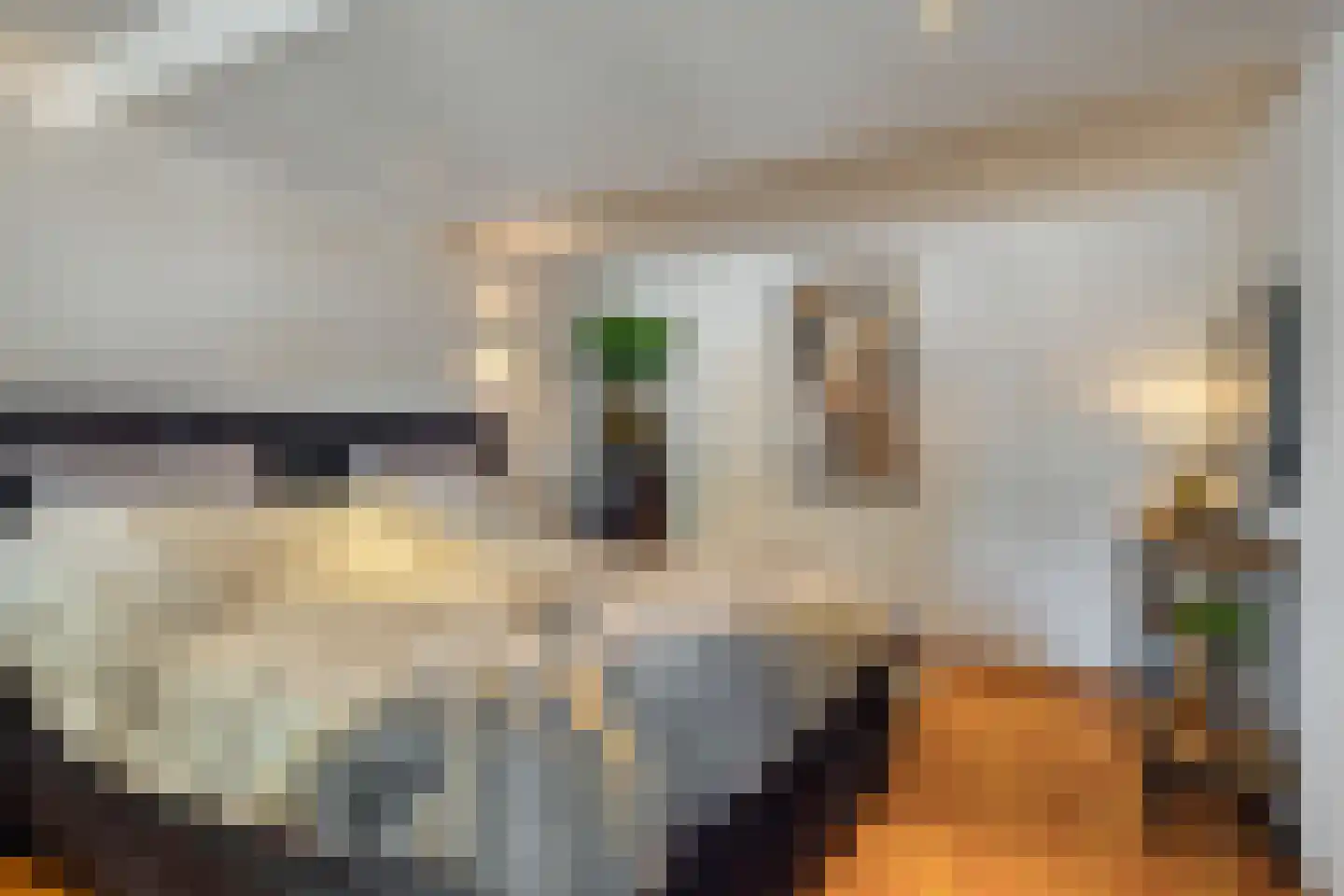 Molenweg 3 Steenbergen thumbnail 21