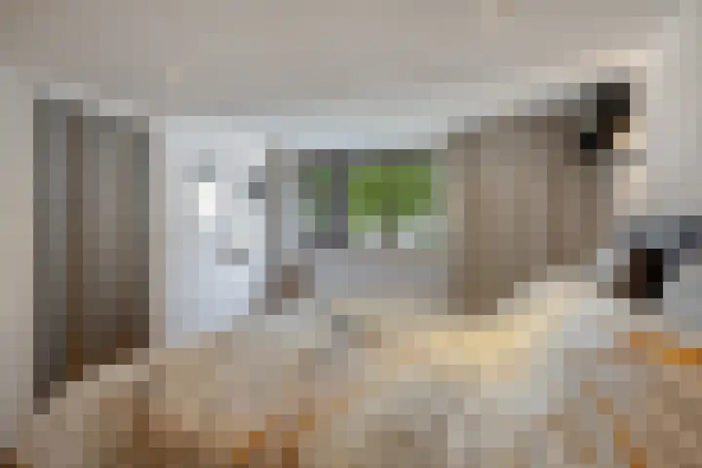 Molenweg 3 Steenbergen thumbnail 23