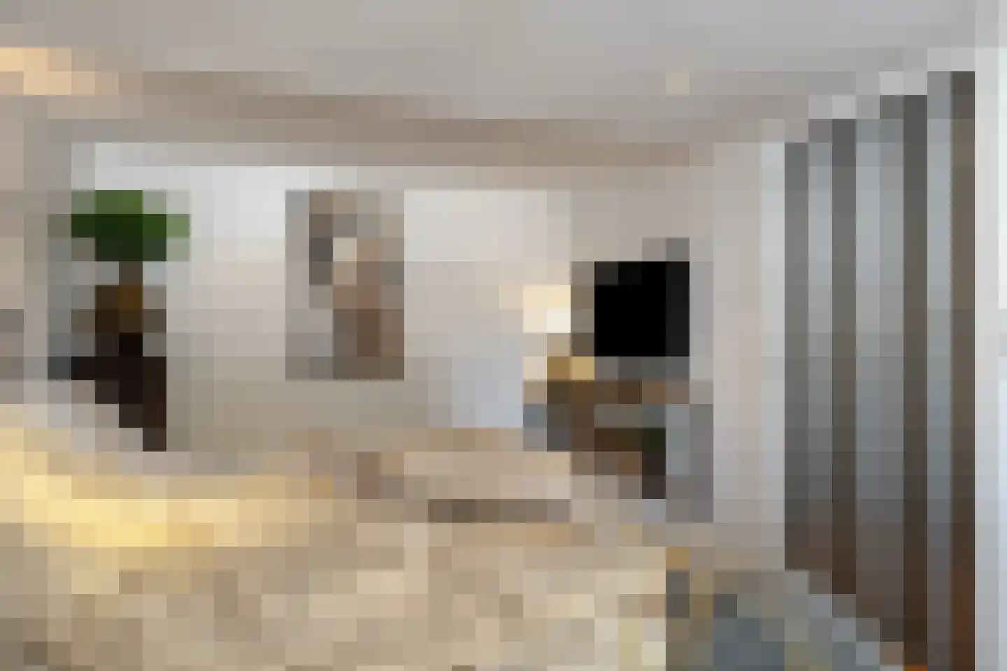 Molenweg 3 Steenbergen thumbnail 24