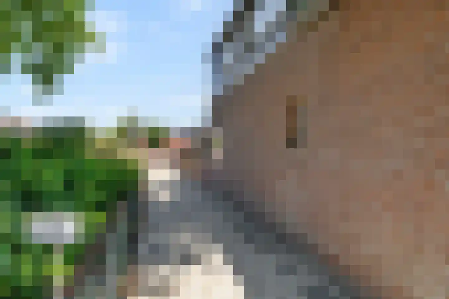 Molenweg 3 Steenbergen thumbnail 30