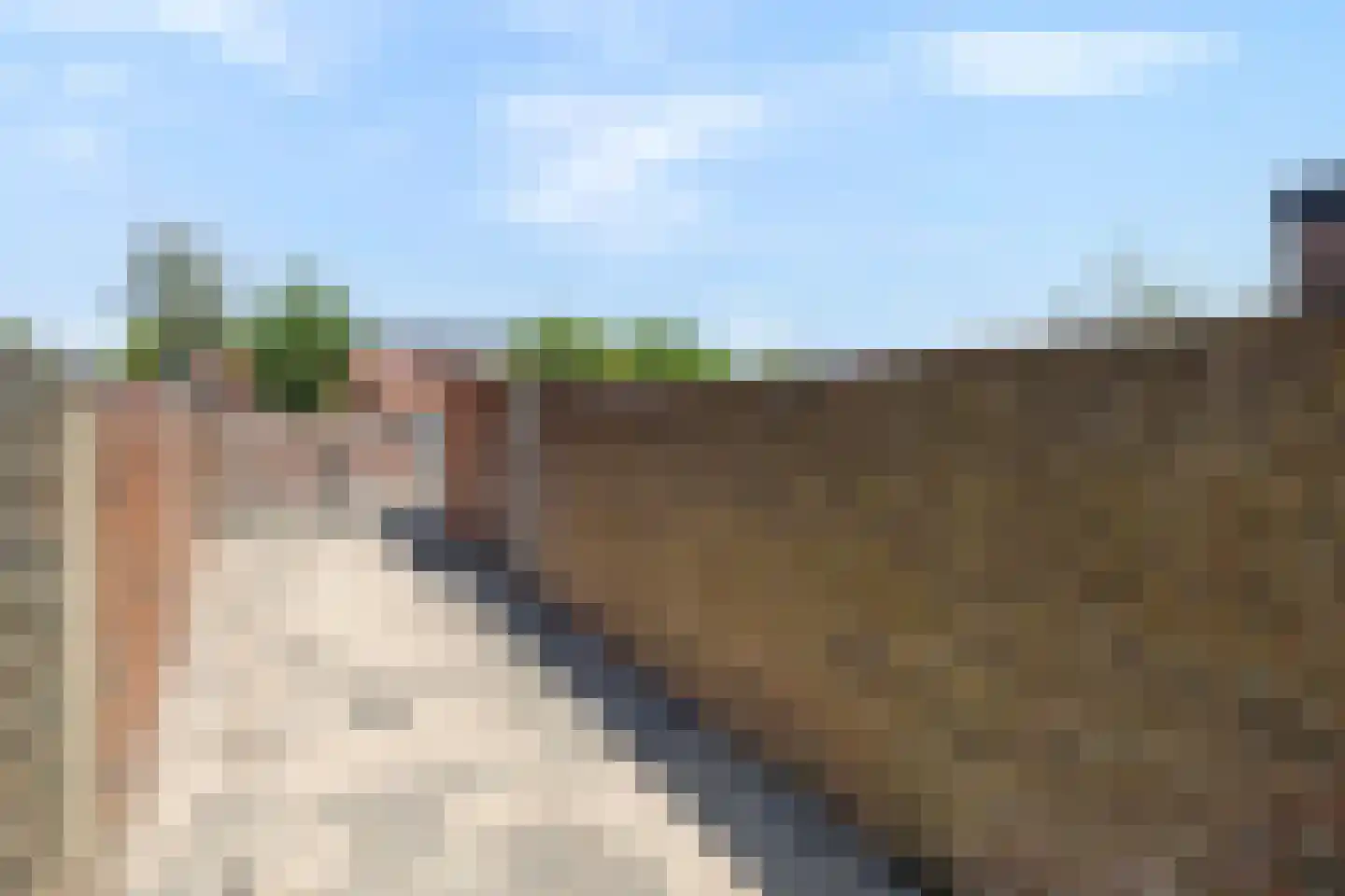 Molenweg 3 Steenbergen thumbnail 31