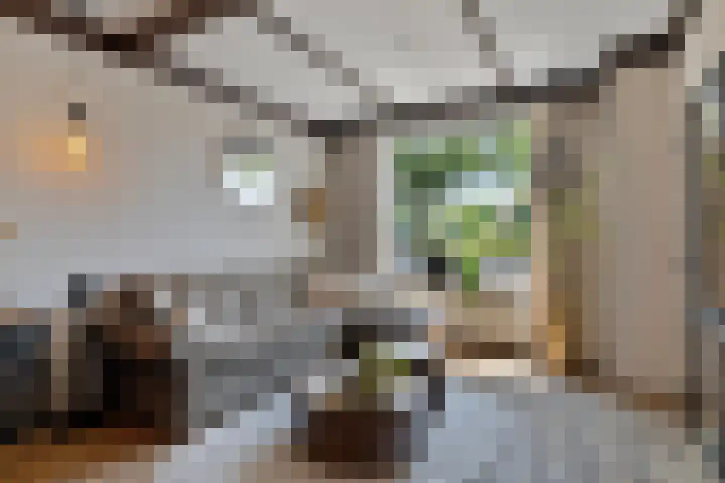 Molenweg 3 Steenbergen thumbnail 7