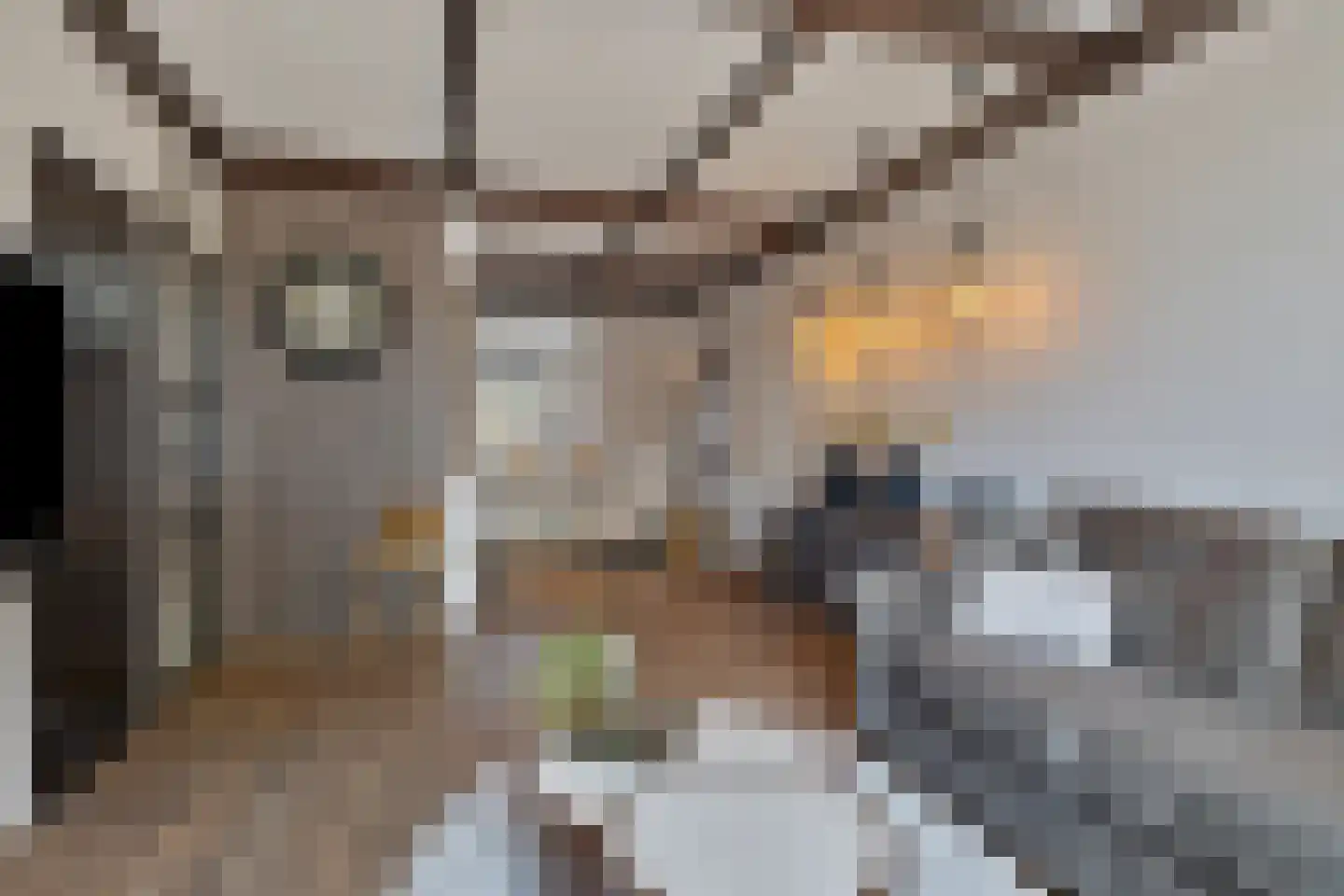 Molenweg 3 Steenbergen thumbnail 8