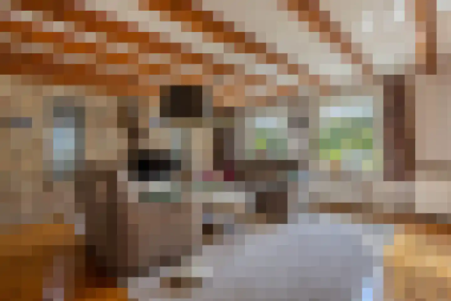 Molenweg 3 Witmarsum thumbnail 10