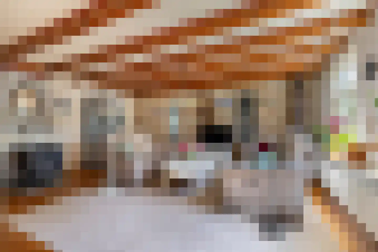 Molenweg 3 Witmarsum thumbnail 11