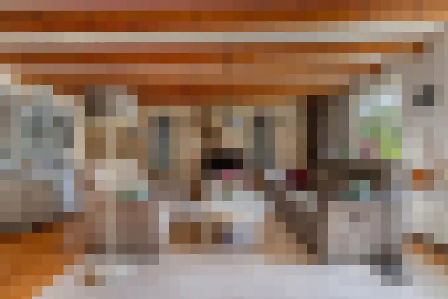 Molenweg 3 Witmarsum thumbnail 12