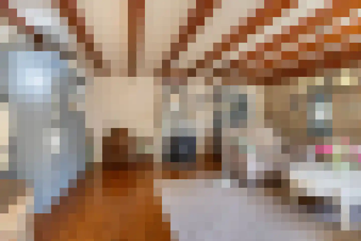 Molenweg 3 Witmarsum thumbnail 13