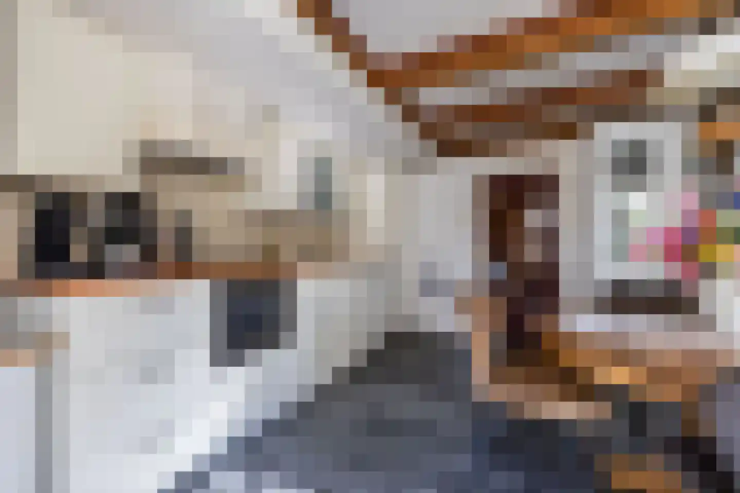 Molenweg 3 Witmarsum thumbnail 17
