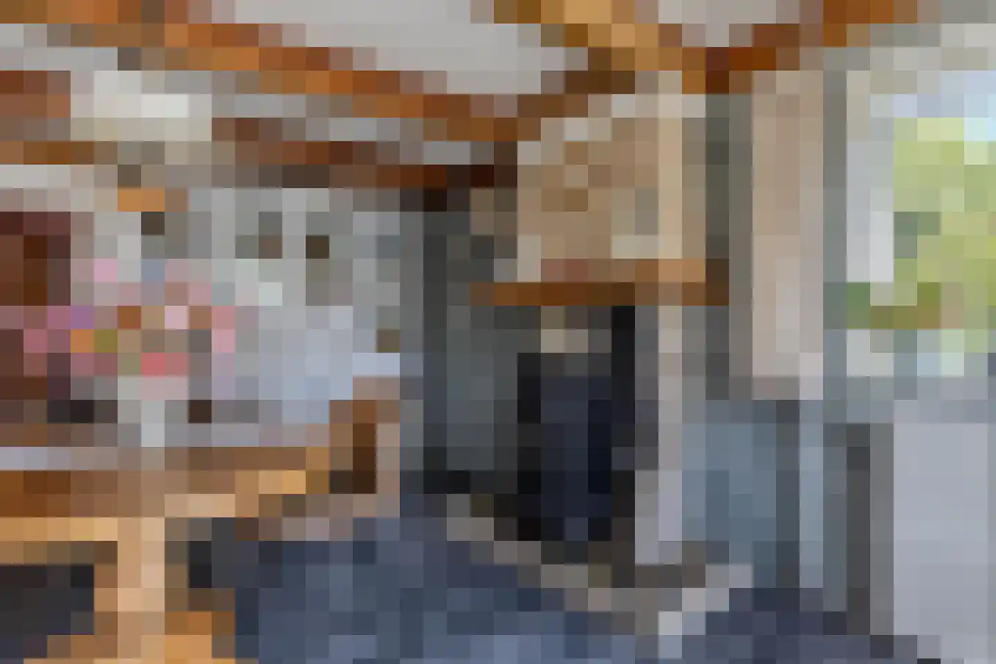 Molenweg 3 Witmarsum thumbnail 19