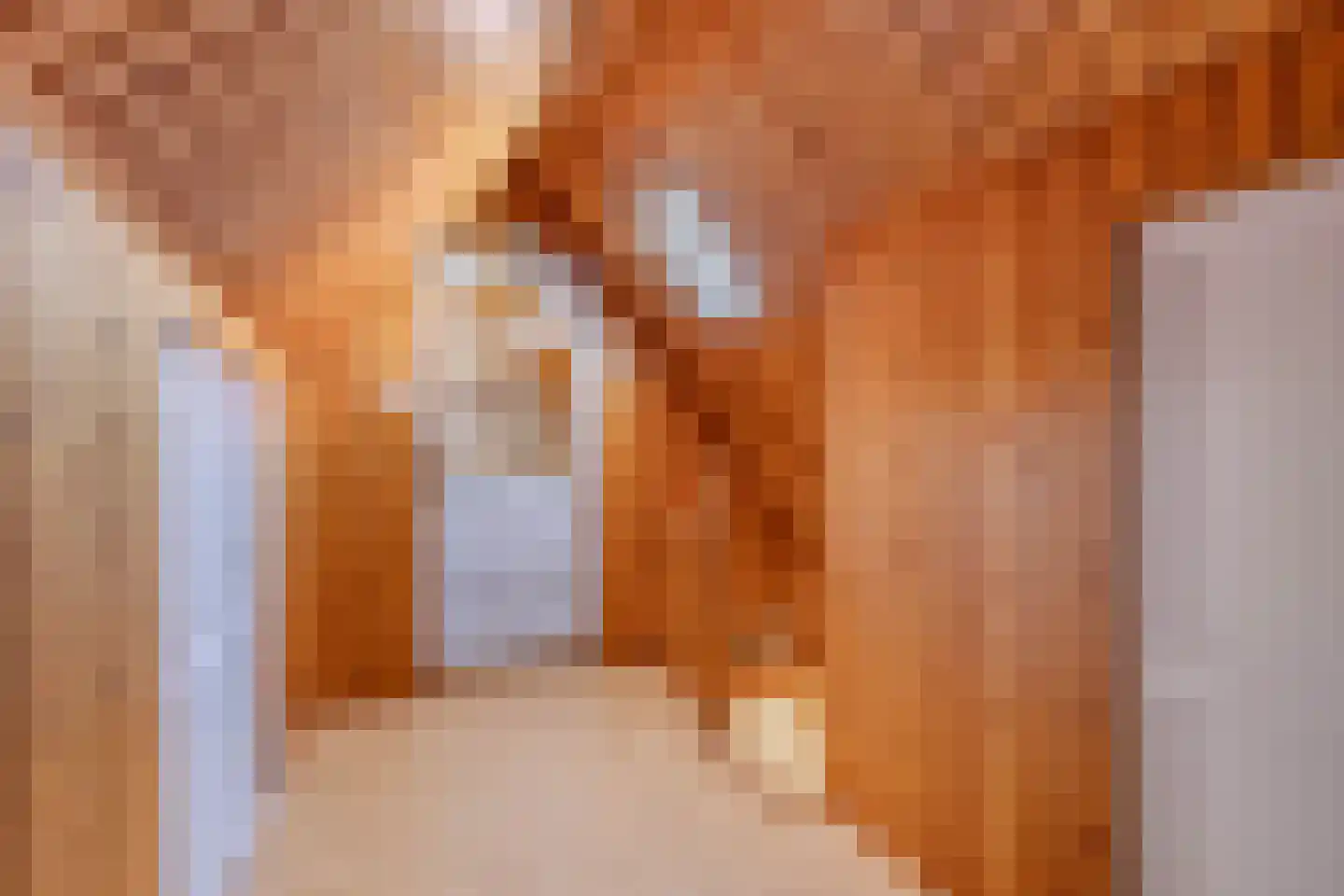 Molenweg 3 Witmarsum thumbnail 21