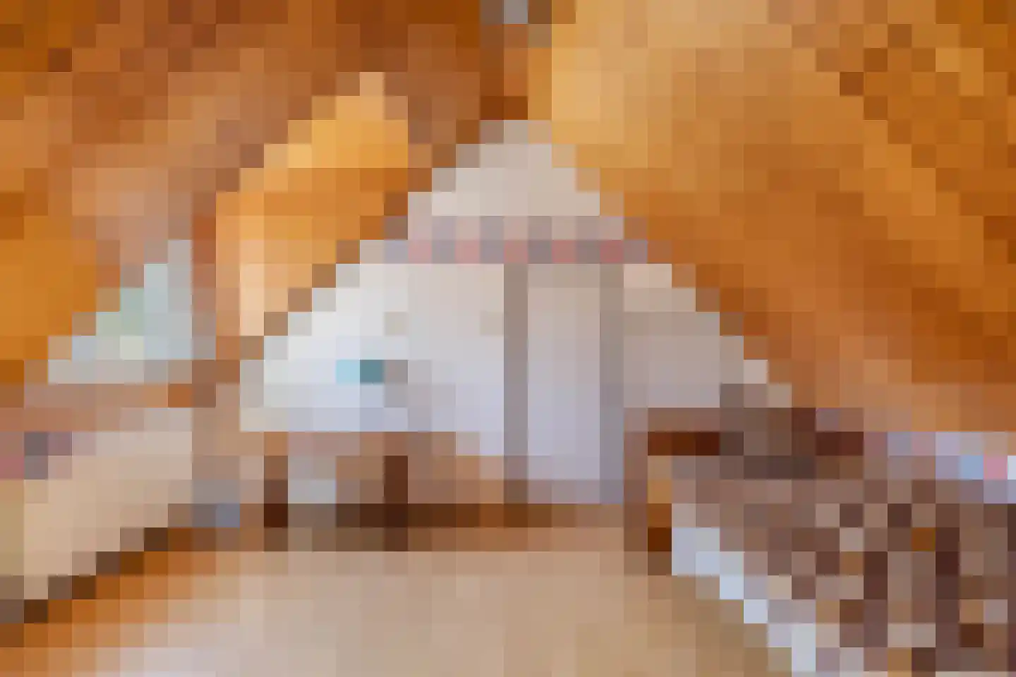 Molenweg 3 Witmarsum thumbnail 22