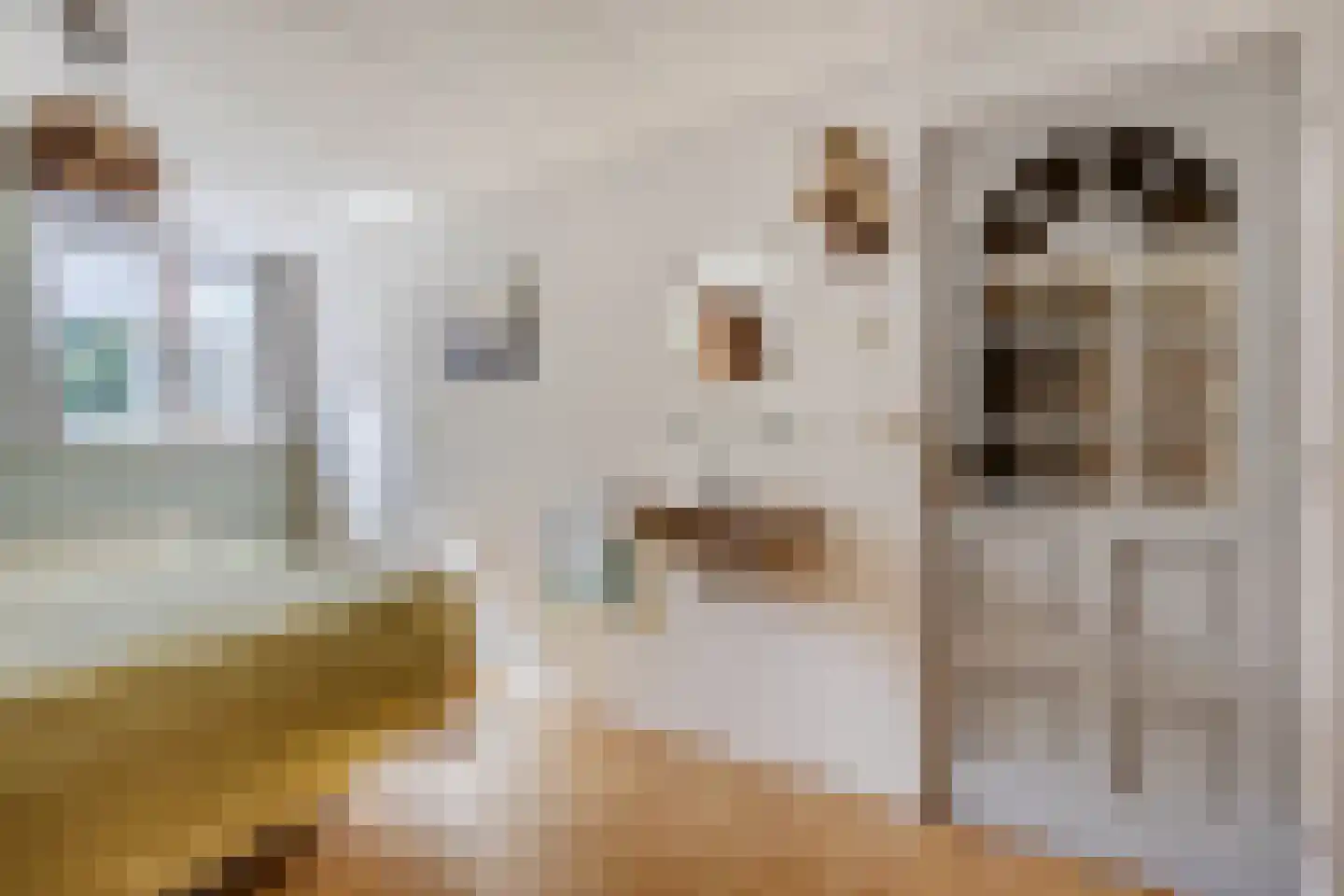 Molenweg 3 Witmarsum thumbnail 27