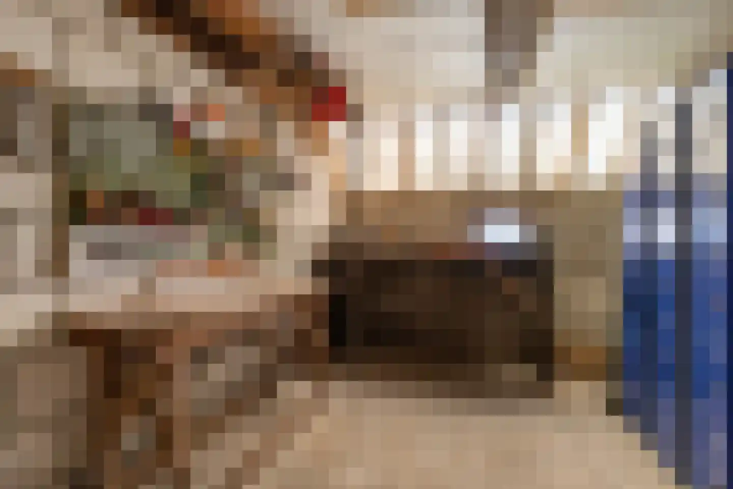 Molenweg 3 Witmarsum thumbnail 31