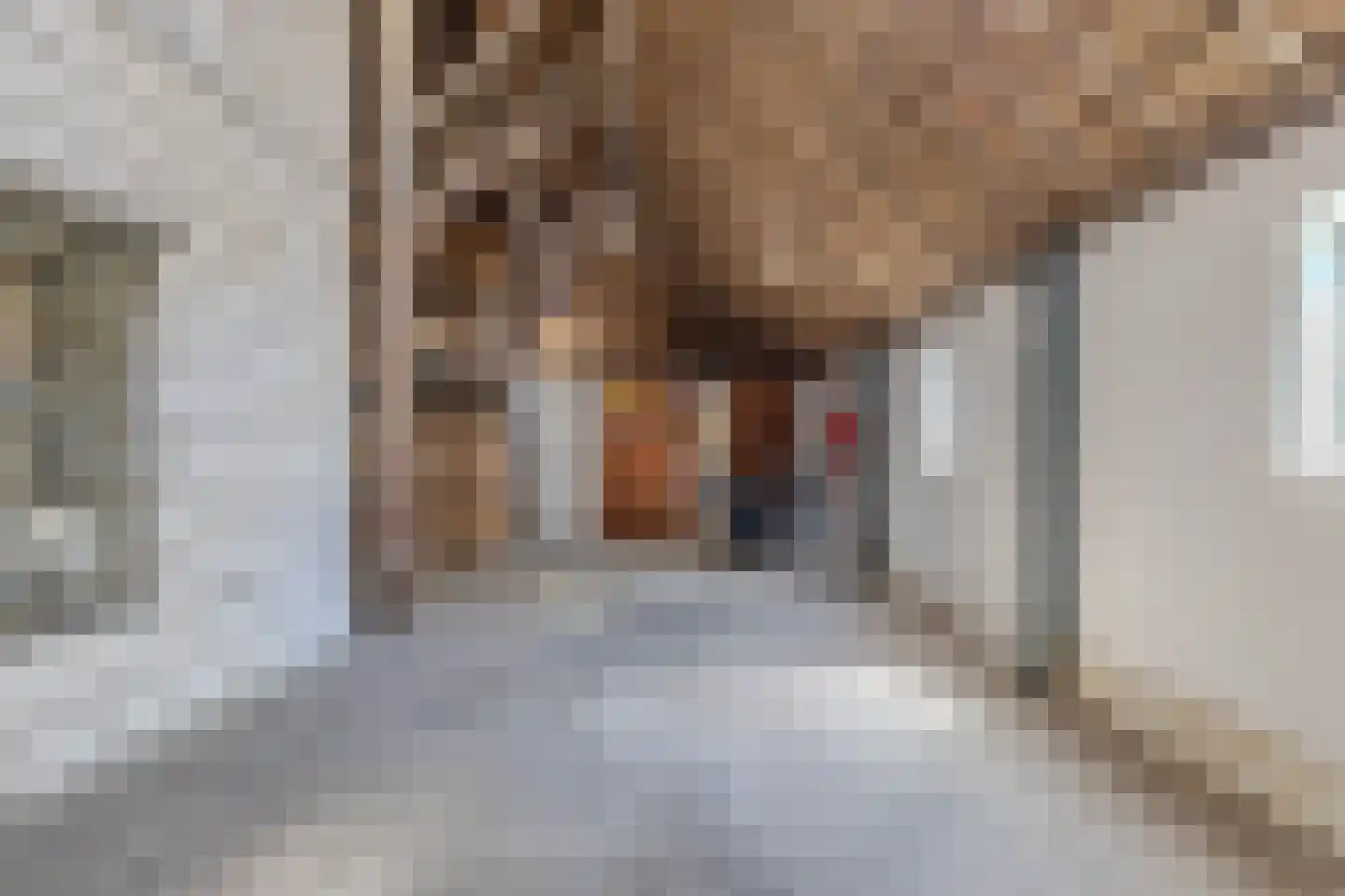 Molenweg 3 Witmarsum thumbnail 34