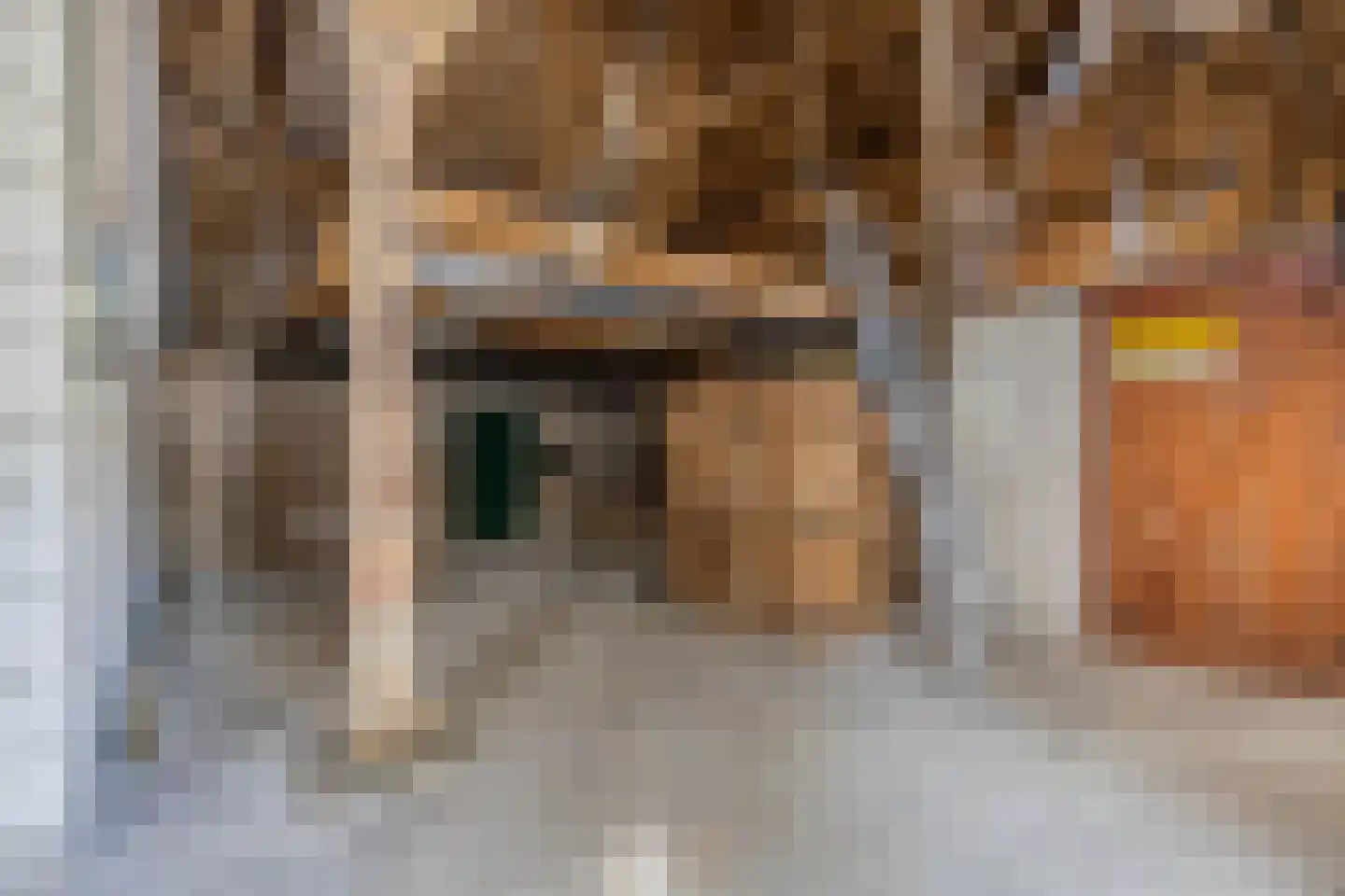Molenweg 3 Witmarsum thumbnail 35