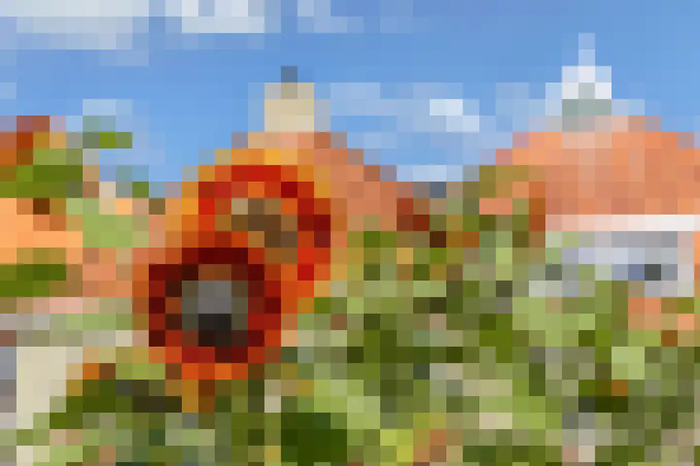 Molenweg 3 Witmarsum thumbnail 41
