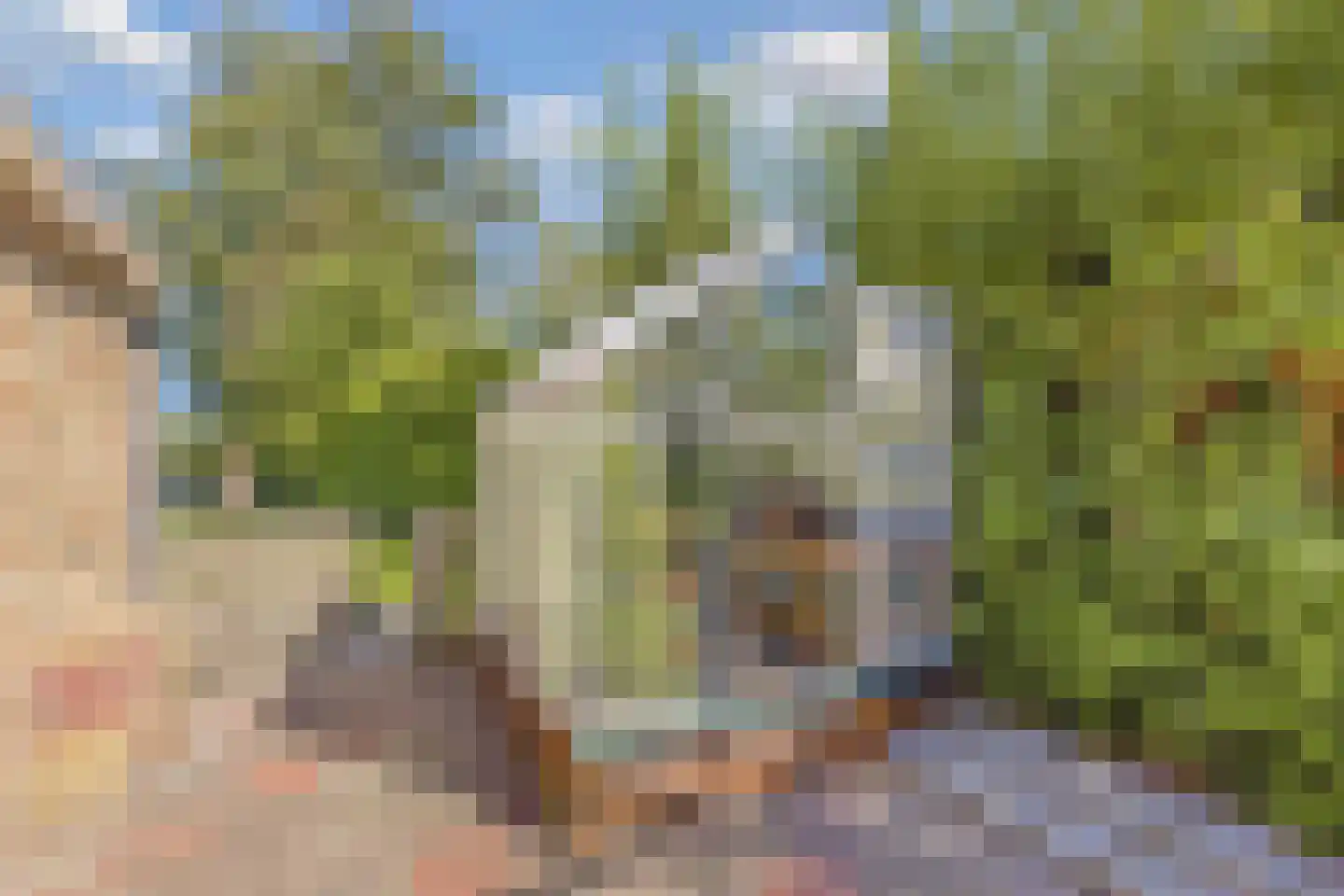 Molenweg 3 Witmarsum thumbnail 43