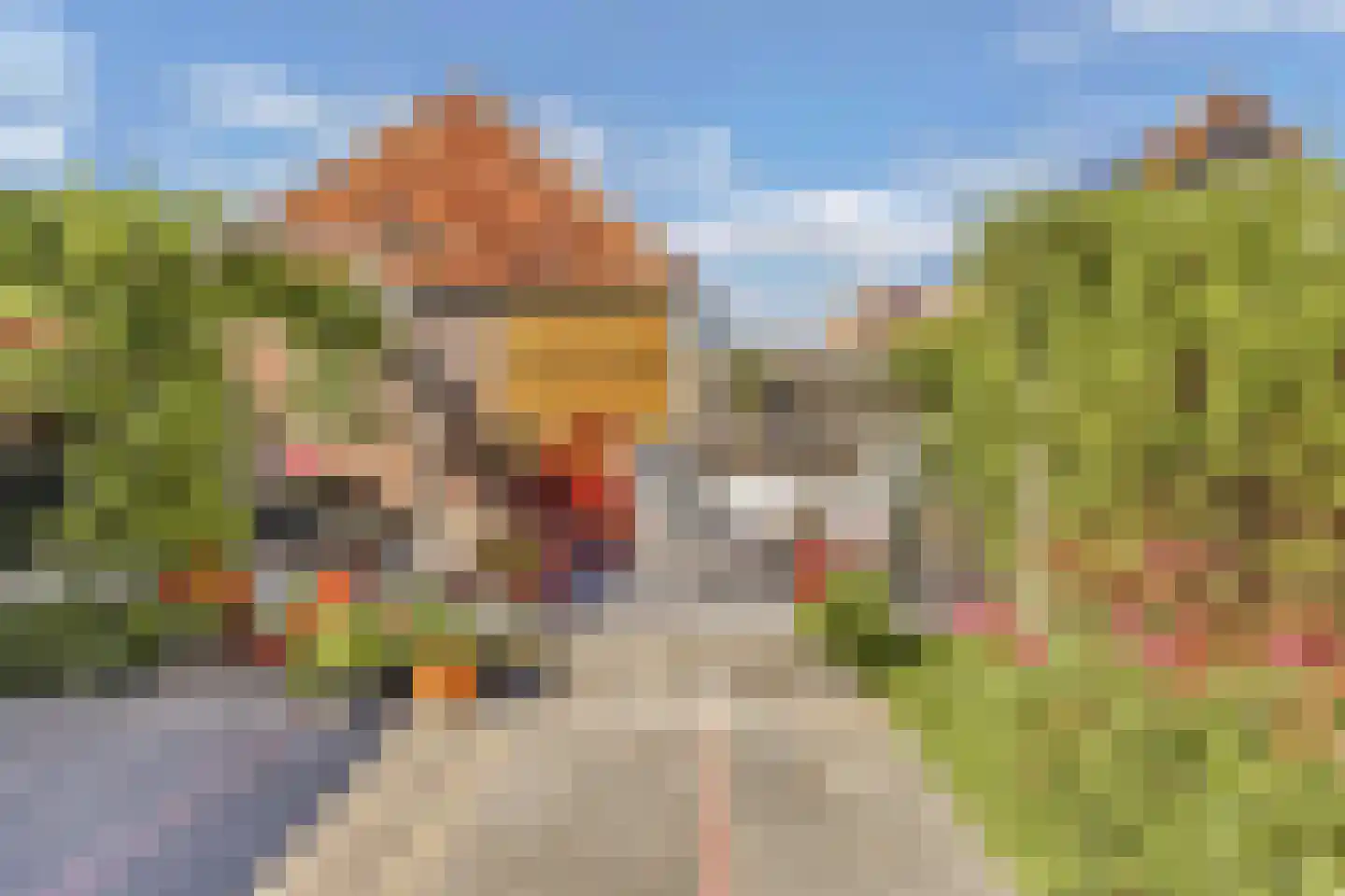 Molenweg 3 Witmarsum thumbnail 46
