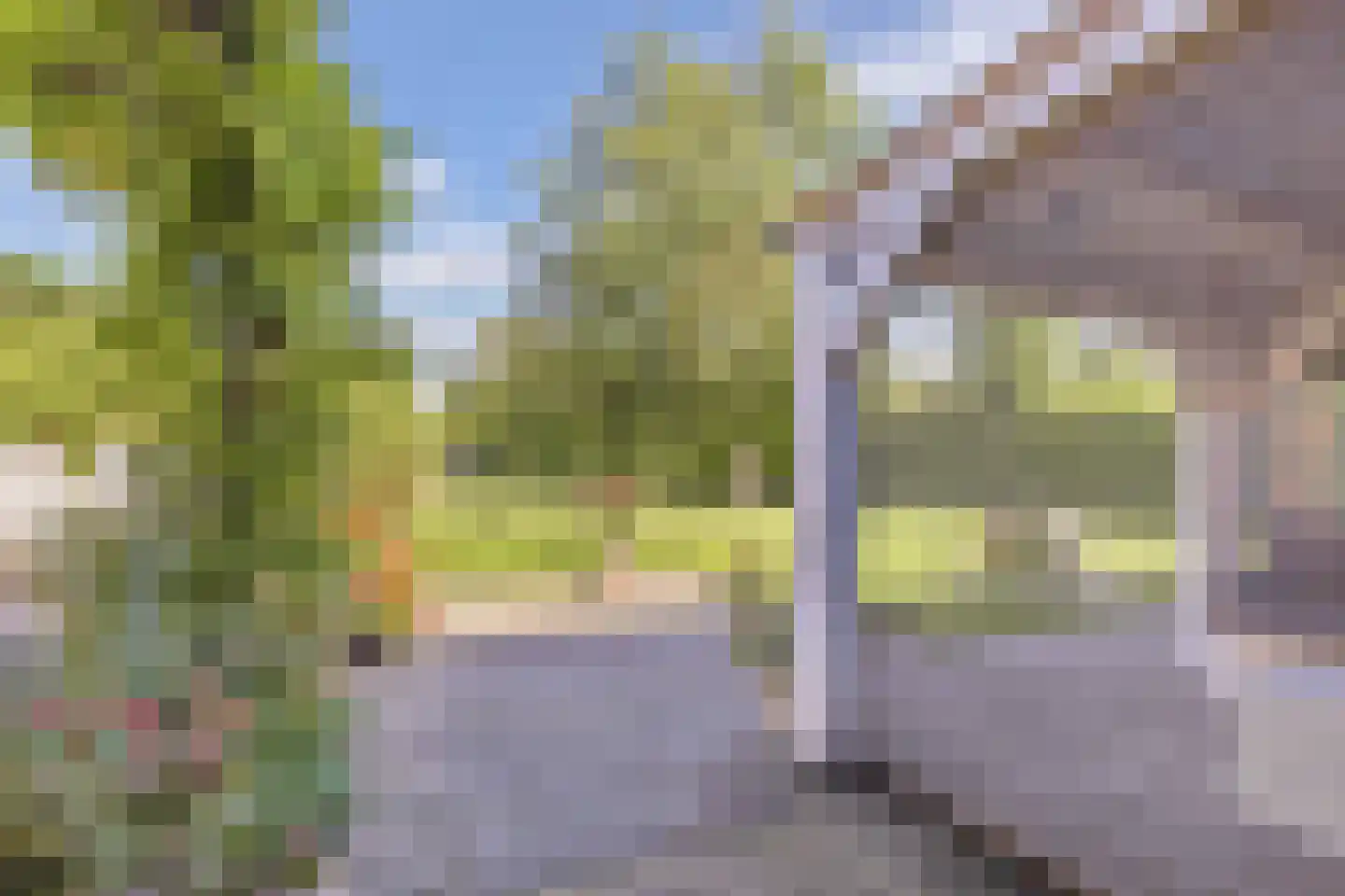 Molenweg 3 Witmarsum thumbnail 49