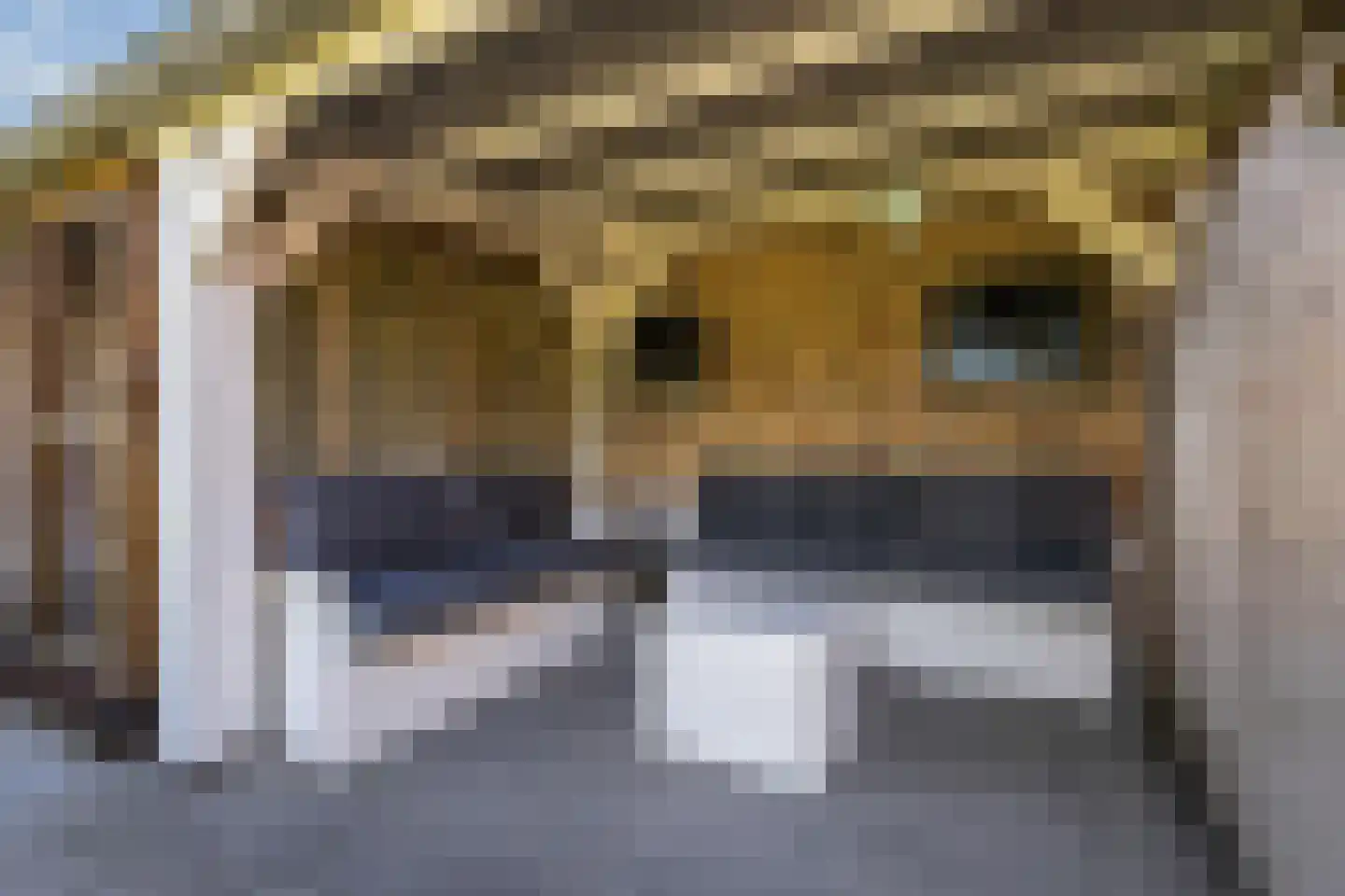 Molenweg 3 Witmarsum thumbnail 50