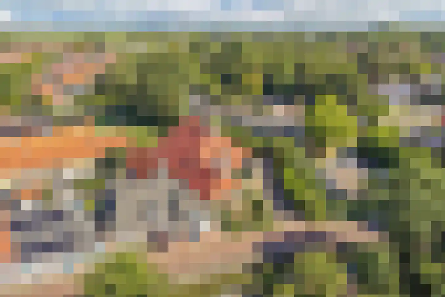 Molenweg 3 Witmarsum thumbnail 53