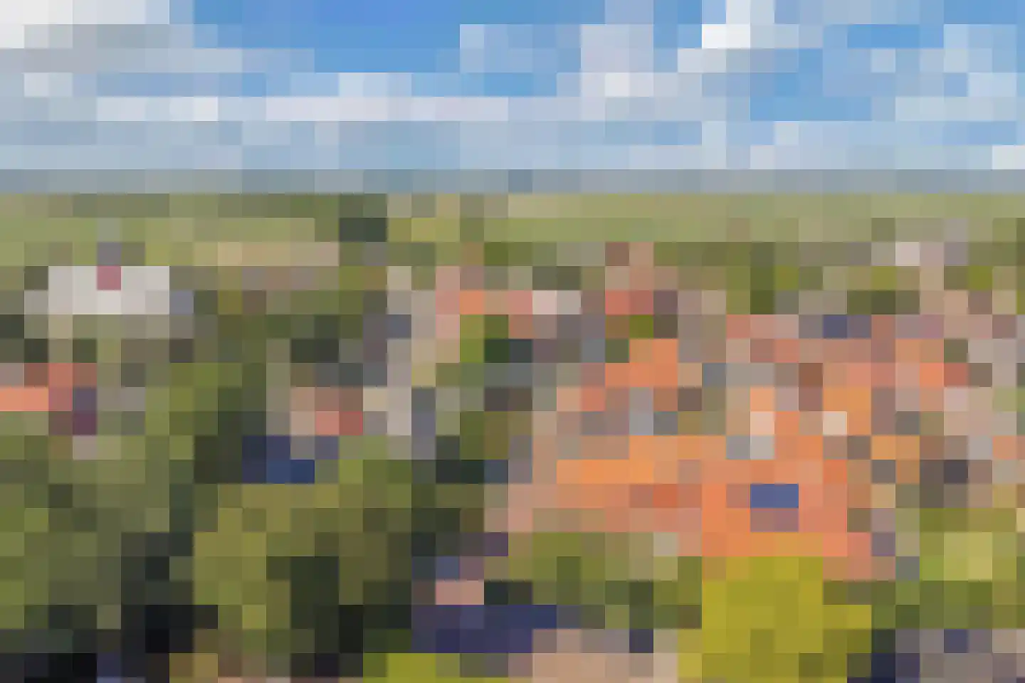 Molenweg 3 Witmarsum thumbnail 54