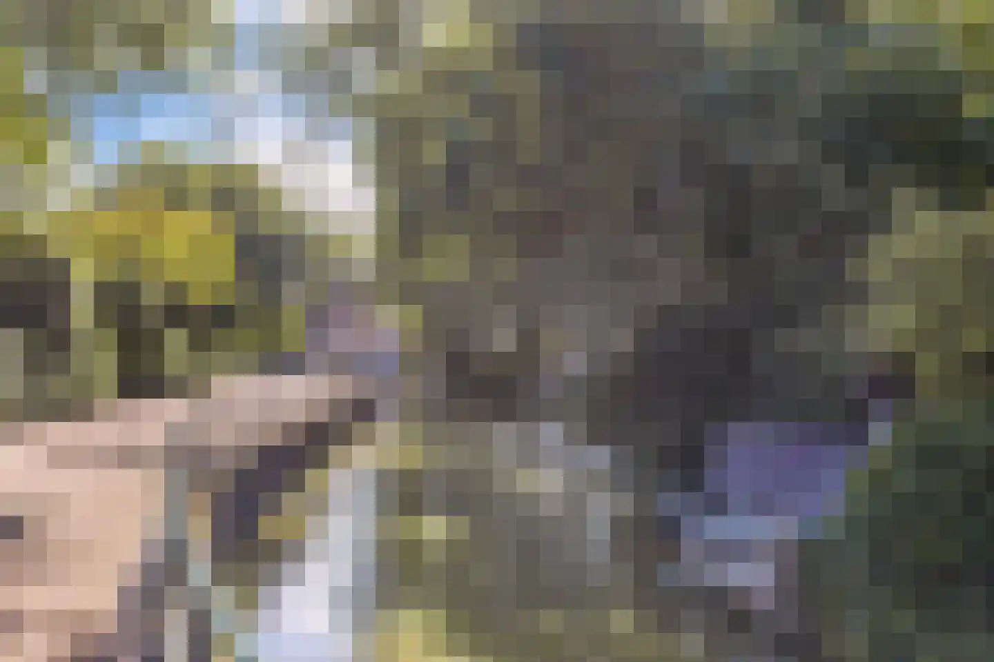 Molenweg 3 Witmarsum thumbnail 56