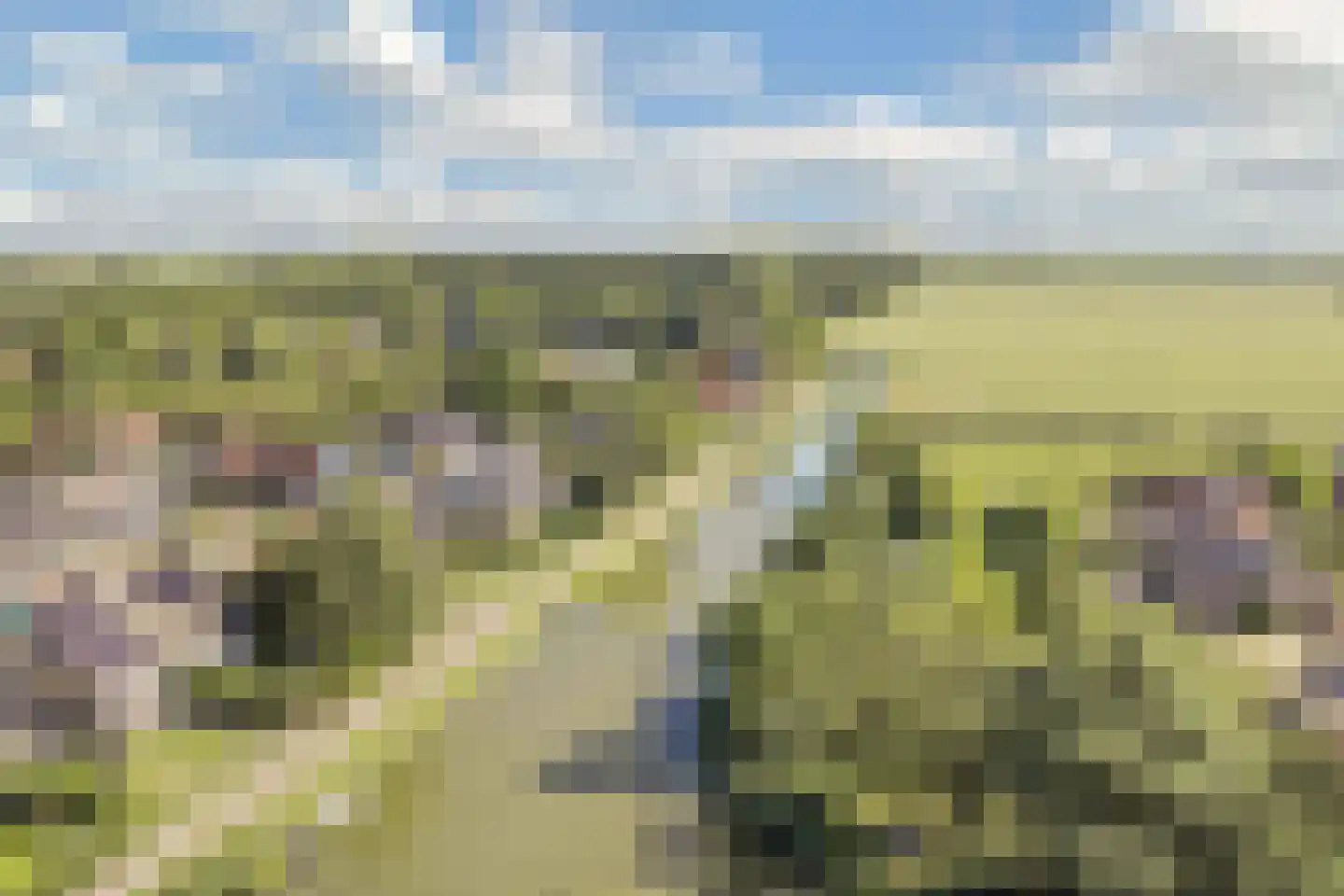 Molenweg 3 Witmarsum thumbnail 58