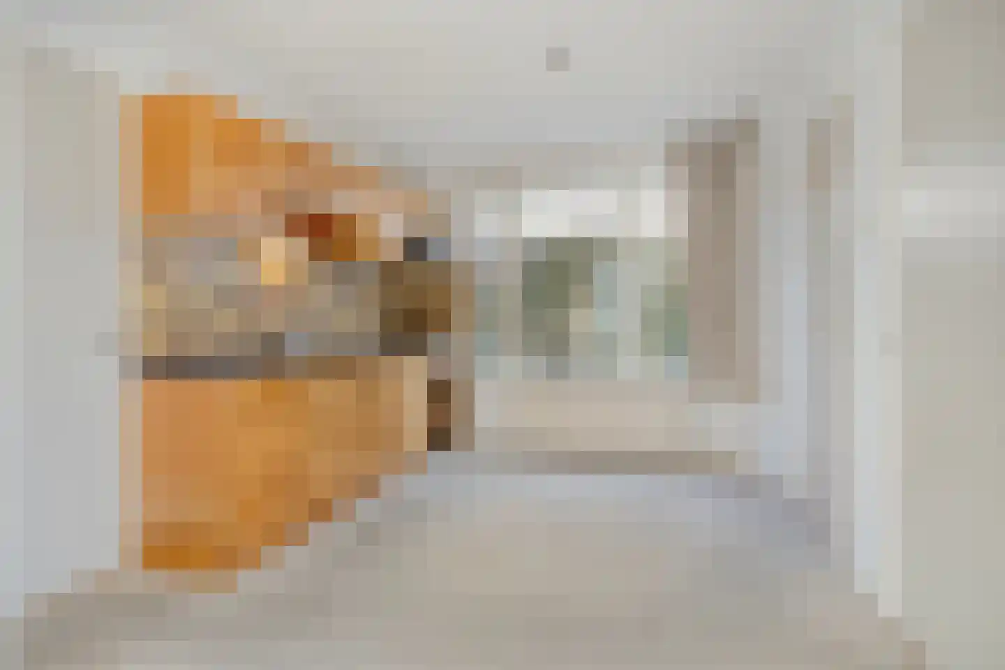Molenweg 3 Zevenhuizen thumbnail 10