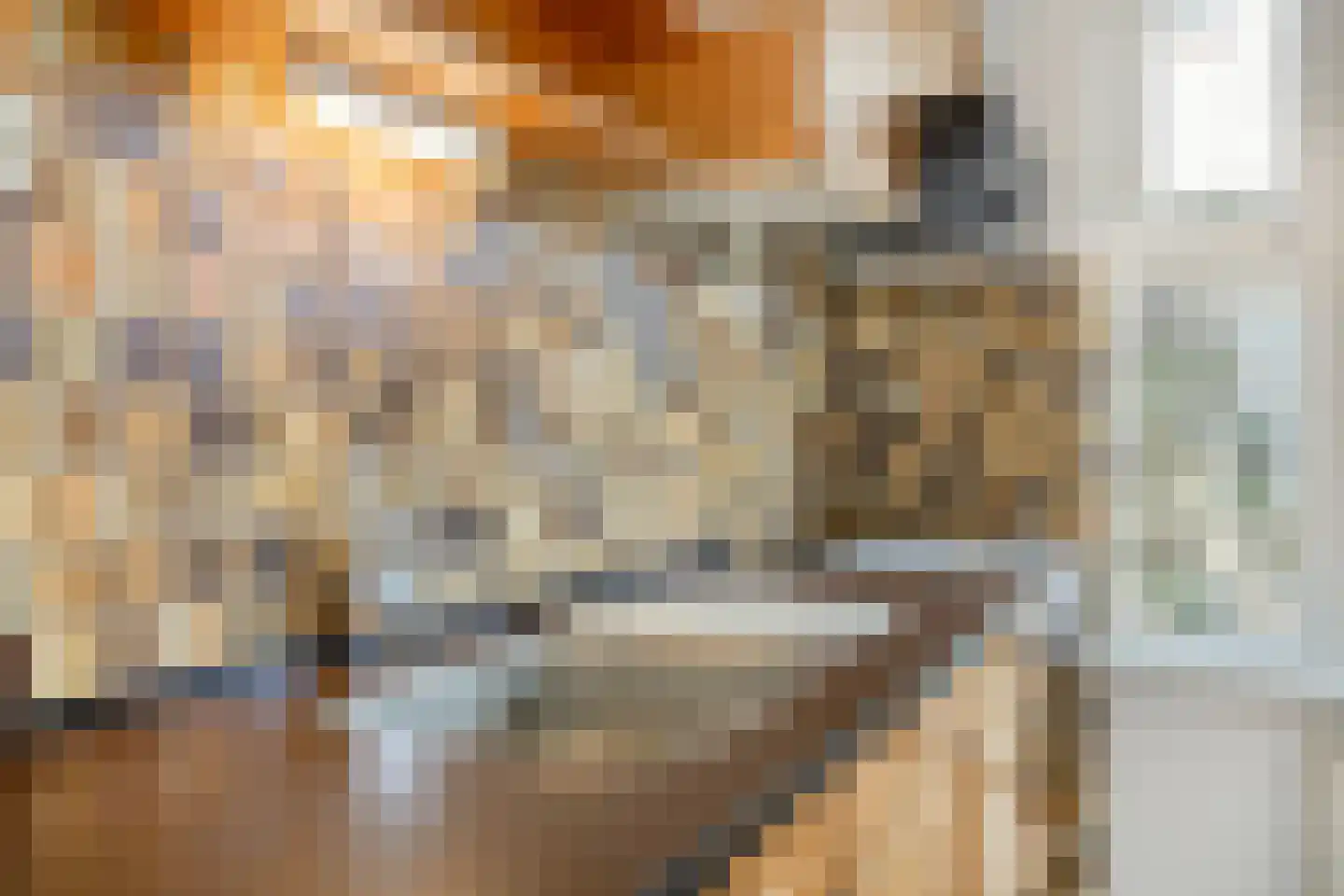 Molenweg 3 Zevenhuizen thumbnail 11