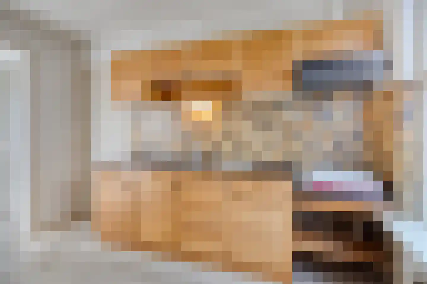 Molenweg 3 Zevenhuizen thumbnail 12