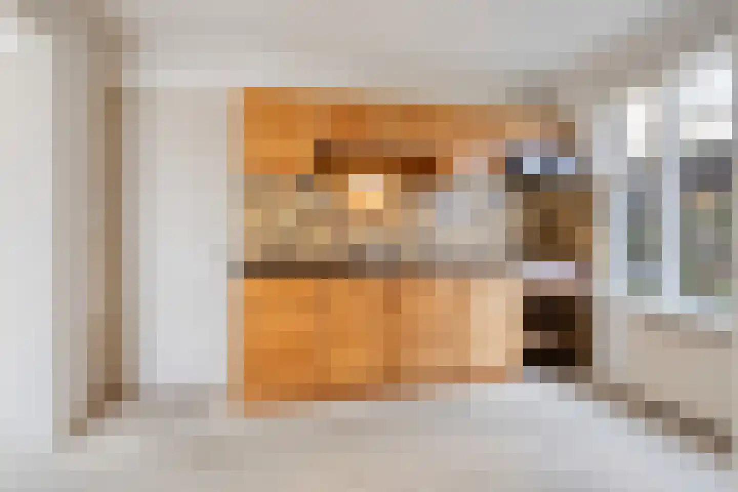 Molenweg 3 Zevenhuizen thumbnail 13