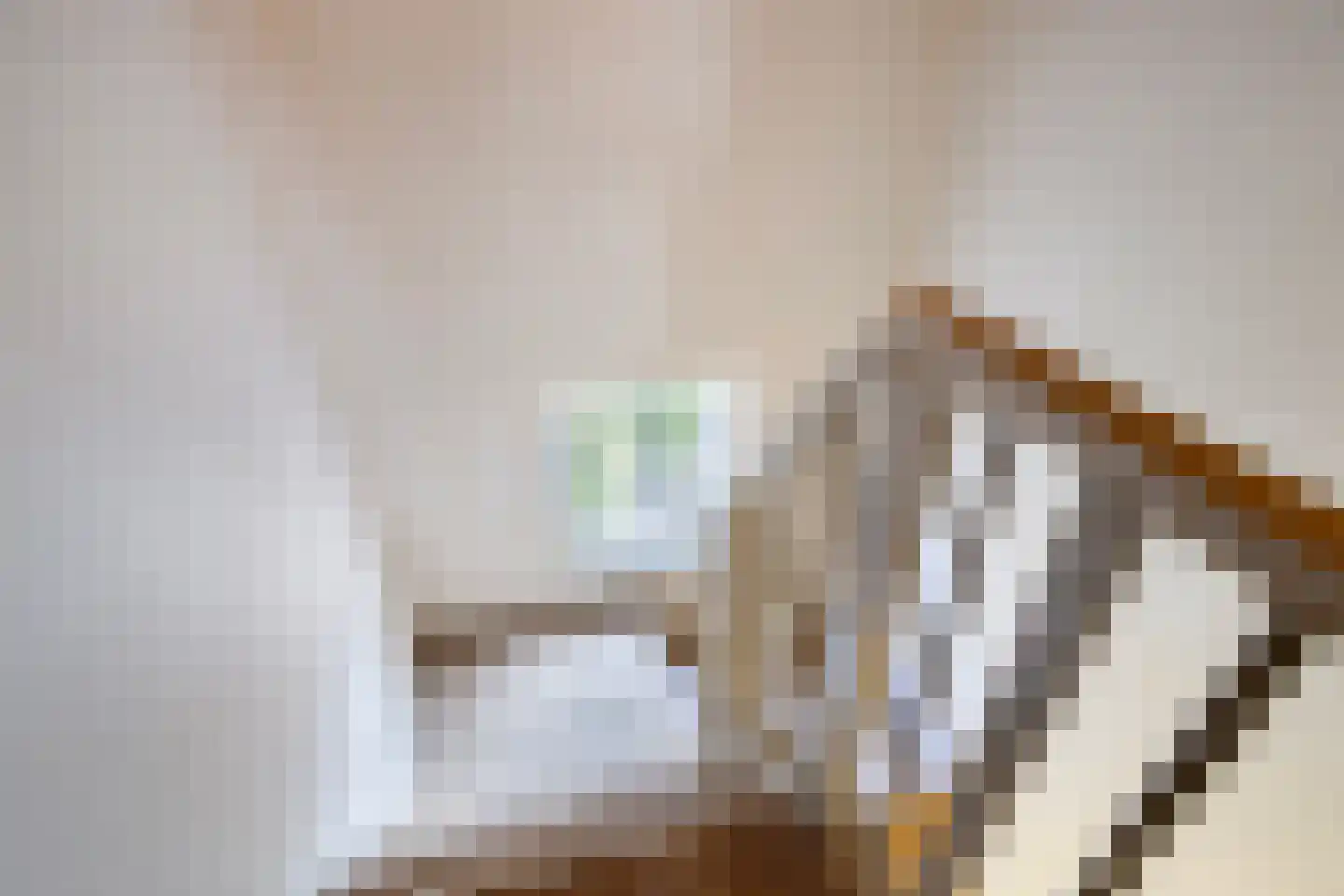 Molenweg 3 Zevenhuizen thumbnail 25