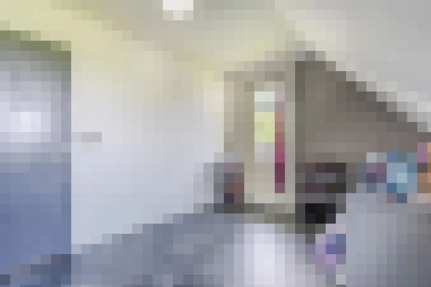 Molenweg 30 a Tiendeveen thumbnail 33
