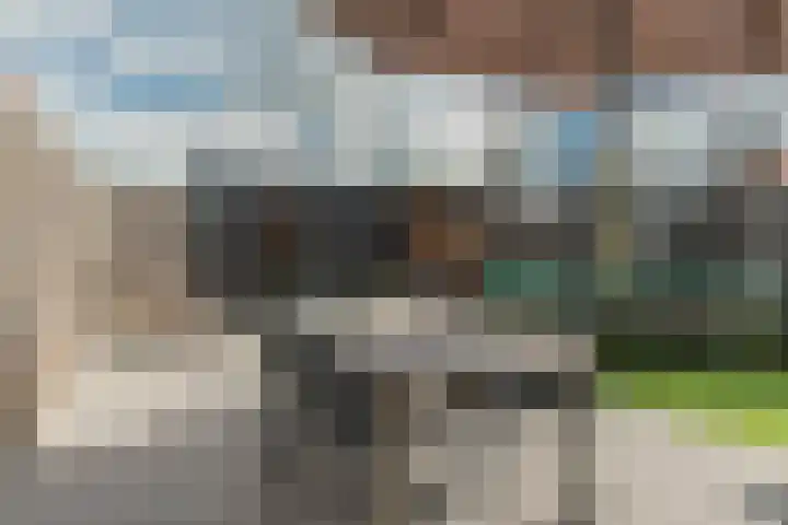Molenweg 30 Kamperland thumbnail 31