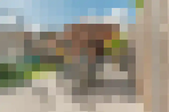 Molenweg 30 Kamperland thumbnail 32