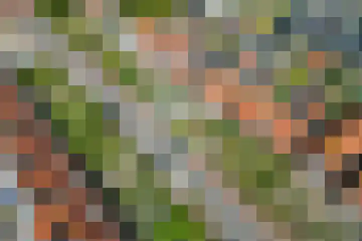 Molenweg 30 Kamperland thumbnail 35