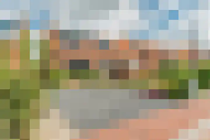 Molenweg 30 Kamperland thumbnail 4