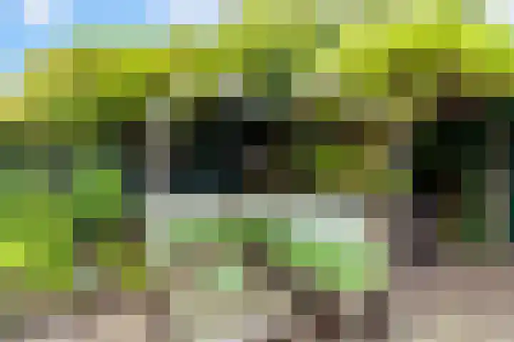Molenweg 31 Wassenaar thumbnail 12