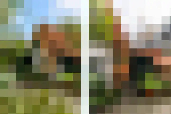 Molenweg 31 Wassenaar thumbnail 22