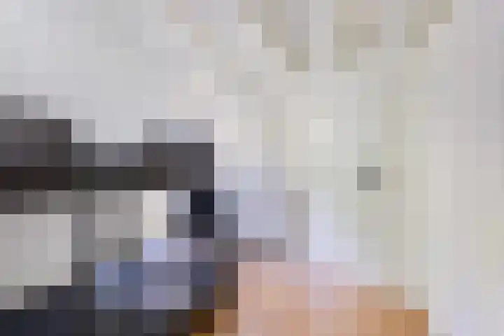 Molenweg 32 Epe thumbnail 13