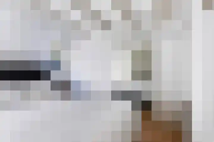 Molenweg 32 Epe thumbnail 14